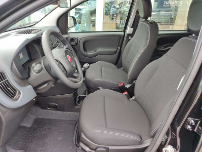 Fiat Panda Vorführwagen