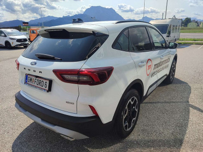 Ford Kuga Vorführwagen