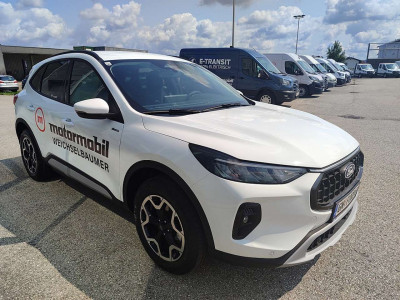 Ford Kuga Vorführwagen