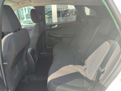 Ford Kuga Vorführwagen