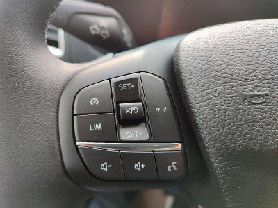 Ford Transit Neuwagen