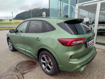 Ford Kuga Neuwagen