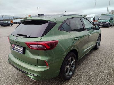 Ford Kuga Neuwagen