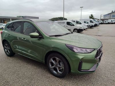 Ford Kuga Neuwagen