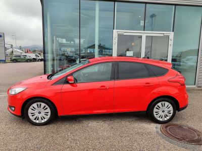 Ford Focus Gebrauchtwagen