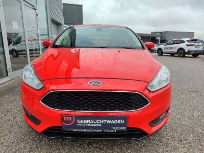 Ford Focus Gebrauchtwagen