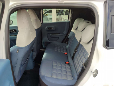 Fiat Grande Panda Vorführwagen