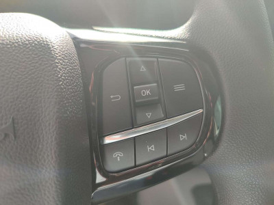 Ford Transit Custom Neuwagen