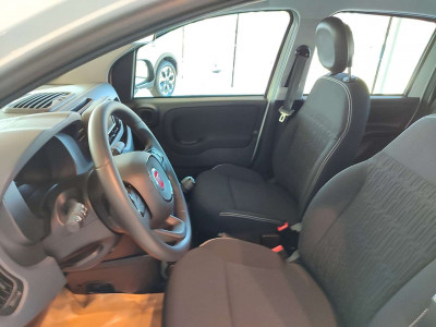Fiat Panda Neuwagen