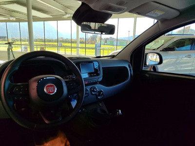Fiat Panda Neuwagen