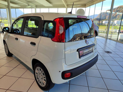 Fiat Panda Neuwagen