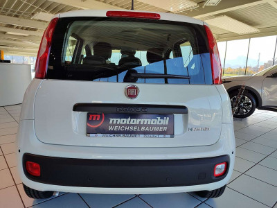 Fiat Panda Neuwagen