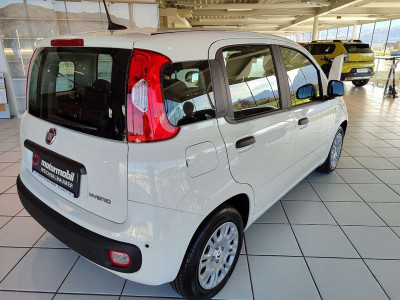 Fiat Panda Neuwagen