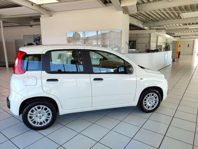 Fiat Panda Neuwagen