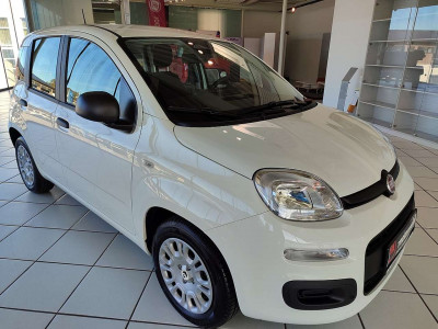 Fiat Panda Neuwagen