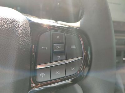 Ford Tourneo Custom Vorführwagen