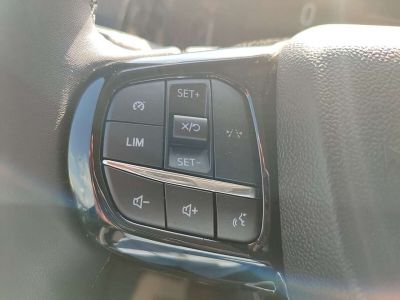 Ford Tourneo Custom Vorführwagen