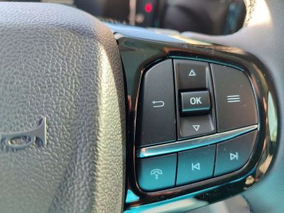 Ford Tourneo Custom Vorführwagen