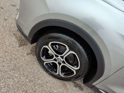 MG ZS Tageszulassung