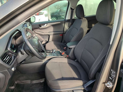 Ford Kuga Gebrauchtwagen Ford Kuga Gebrauchtwagen