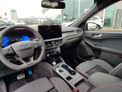 Ford Kuga Vorführwagen Ford Kuga Vorführwagen