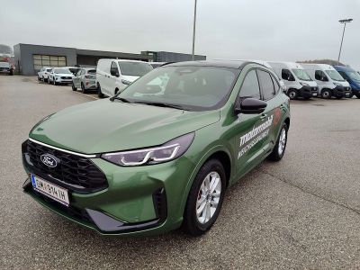 Ford Kuga Vorführwagen