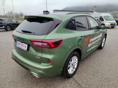 Ford Kuga Vorführwagen Ford Kuga Vorführwagen