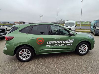 Ford Kuga Vorführwagen Ford Kuga Vorführwagen