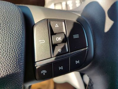 Ford Tourneo Courier Tageszulassung