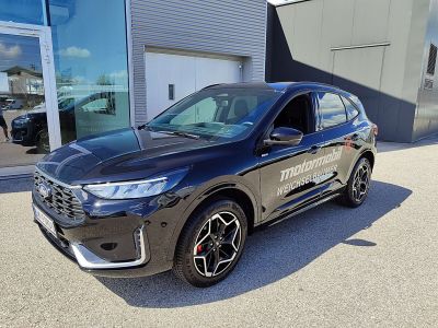 Ford Kuga Vorführwagen Ford Kuga Vorführwagen