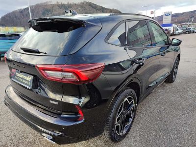 Ford Kuga Neuwagen