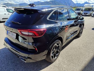 Ford Kuga Vorführwagen Ford Kuga Vorführwagen