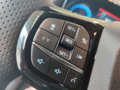 Ford Puma Tageszulassung