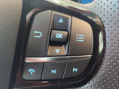 Ford Puma Tageszulassung