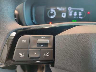 Fiat Doblo Tageszulassung