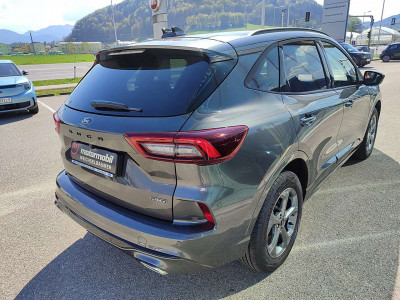 Ford Kuga Neuwagen