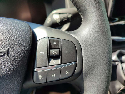 Ford Transit Neuwagen