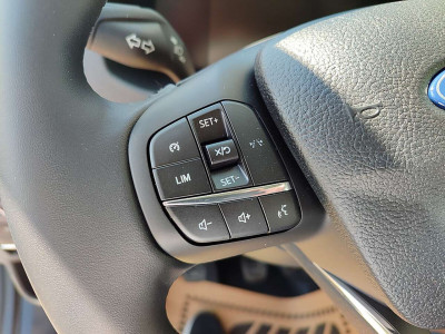 Ford Transit Neuwagen