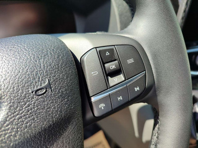 Ford Transit Neuwagen