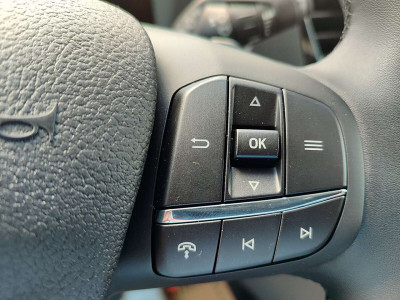 Ford Transit Neuwagen