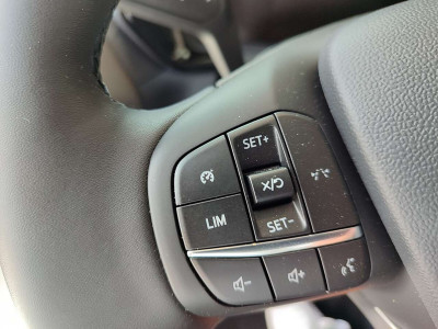 Ford Tourneo Courier Tageszulassung