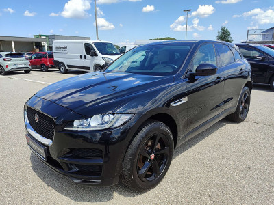 Jaguar F-Pace Gebrauchtwagen