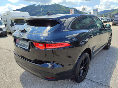 Jaguar F-Pace Gebrauchtwagen