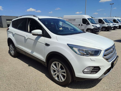 Ford Kuga Gebrauchtwagen
