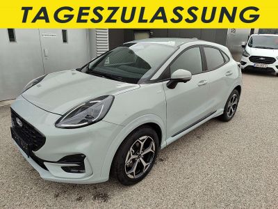 Ford Puma Tageszulassung