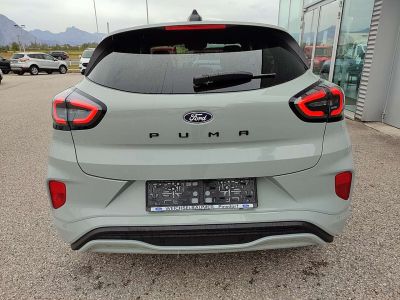 Ford Puma Tageszulassung