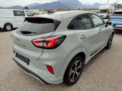 Ford Puma Tageszulassung