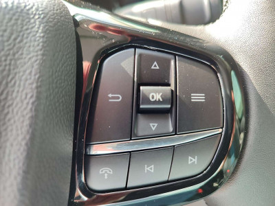 Ford Tourneo Custom Neuwagen Ford Tourneo Custom Neuwagen