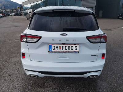 Ford Kuga Vorführwagen