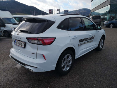 Ford Kuga Vorführwagen